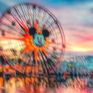 Meet your Posher, Amelia